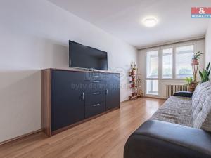 Prodej bytu 2+kk, Březnice, Rožmitálská, 41 m2