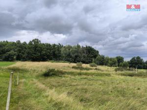 Prodej louky, Radošovice, 17506 m2