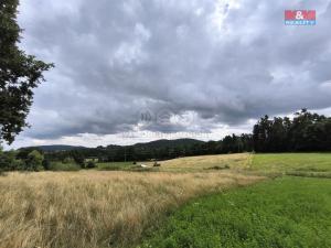 Prodej louky, Radošovice, 17506 m2