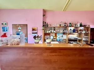 Prodej restaurace, Karviná, Lázeňská, 200 m2