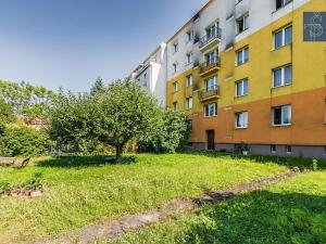 Prodej bytu 2+1, Praha - Michle, Hodonínská, 55 m2