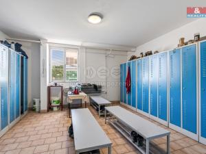 Prodej výrobních prostor, Štětí, Cihelná, 2882 m2