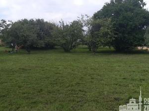 Prodej pozemku pro bydlení, Neveklov, Sokolská, 174 m2