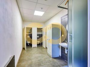 Pronájem skladu, Tábor, 1300 m2