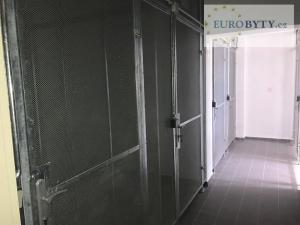 Pronájem atypického bytu, Praha - Vinohrady, U Havlíčkových sadů, 131 m2