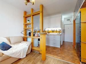 Prodej bytu 1+1, České Budějovice, Nerudova, 36 m2