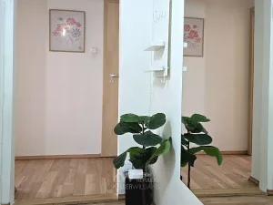 Pronájem bytu 2+1, Praha - Vinohrady, Londýnská, 48 m2