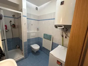 Pronájem bytu 1+kk, Brno, Francouzská, 39 m2