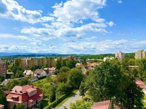 Prodej bytu 1+1, Český Těšín, Hrabinská, 40 m2