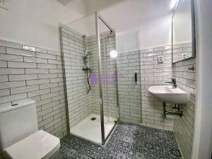 Pronájem bytu 1+kk, Olomouc - Hodolany, Zeyerova, 25 m2