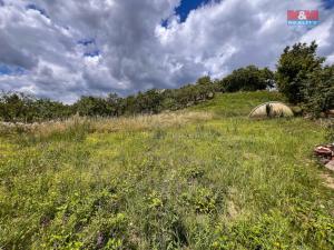 Prodej pozemku pro bydlení, Žitenice, 1565 m2