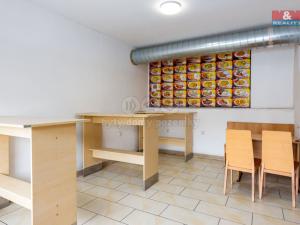 Prodej obchodního prostoru, Vítkov, Opavská, 460 m2