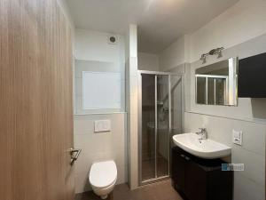 Pronájem bytu 1+kk, Zbuzany, Na Návsi, 42 m2