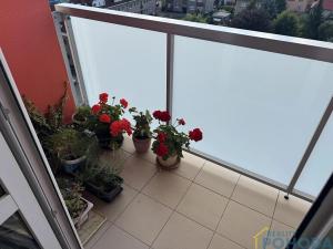 Pronájem bytu 1+1, Ústí nad Orlicí, Chodská, 38 m2