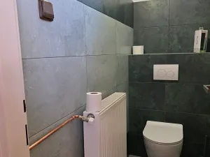 Pronájem rodinného domu, Frýdlant nad Ostravicí, 110 m2