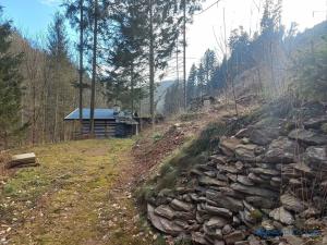 Pronájem chaty, Náchod, V Ostrovech, 130 m2