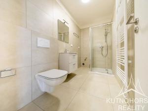 Pronájem bytu 1+kk, Vrdy, Koudelov, 35 m2