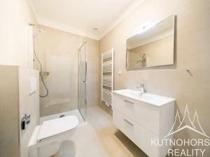 Pronájem bytu 2+kk, Vrdy, Koudelov, 55 m2