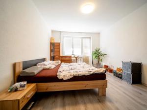 Pronájem bytu 3+kk, Ostrava, Svojsíkova, 63 m2
