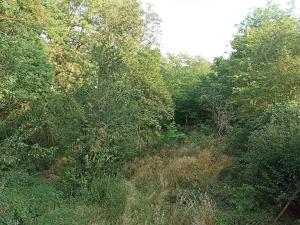 Prodej chaty, Sobotovice, 34 m2