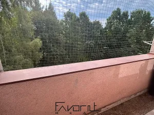 Pronájem bytu 3+1, Ostrava, Josefa Kotase, 72 m2
