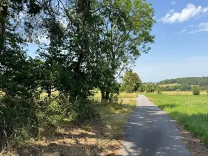 Prodej lesa, Slabčice, 2562 m2