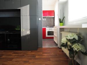 Pronájem bytu 1+kk, Praha - Podolí, Kaplická, 34 m2