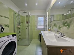 Pronájem rodinného domu, Sedlnice, 135 m2
