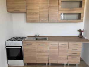 Pronájem bytu 3+kk, Frýdek-Místek, Zahradní, 65 m2