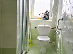 Prodej bytu 1+1, Mladé Buky, 49 m2