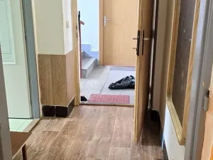 Prodej bytu 1+1, Mladé Buky, 49 m2