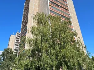 Prodej bytu 2+kk, Hradec Králové, Jungmannova, 48 m2