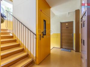 Prodej bytu 2+1, Nový Bor - Arnultovice, Severní, 63 m2