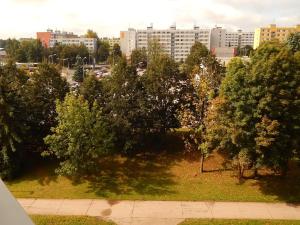 Prodej bytu 1+1, Trutnov, Tichá, 46 m2