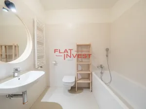 Pronájem bytu 1+kk, Praha - Karlín, U Mlýnského kanálu, 56 m2