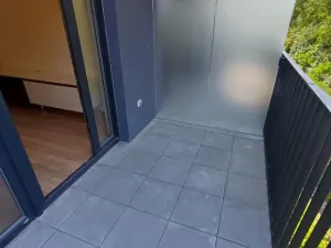 Pronájem bytu 1+kk, Praha - Žižkov, Hartigova, 37 m2