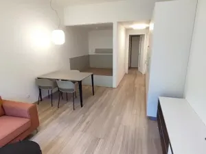 Pronájem bytu 1+kk, Praha - Žižkov, Hartigova, 37 m2