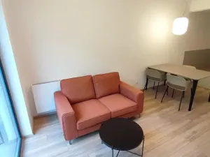 Pronájem bytu 1+kk, Praha - Žižkov, Hartigova, 37 m2