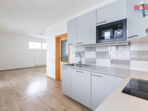 Pronájem bytu 1+kk, Plzeň - Litice, Vysoká, 38 m2
