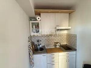 Prodej bytu 1+1, Praha - Krč, U krčské vodárny, 31 m2