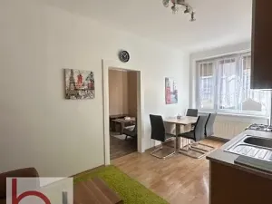Pronájem bytu 2+kk, České Budějovice, Čechova, 58 m2