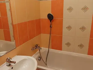 Pronájem bytu 1+1, Ostrava, Opavská, 42 m2