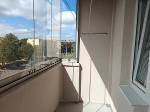 Pronájem bytu 1+1, Ostrava, Opavská, 42 m2