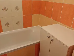 Pronájem bytu 1+1, Ostrava, Opavská, 42 m2