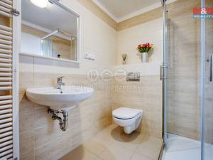 Pronájem bytu 1+kk, Plzeň - Valcha, Špačková, 33 m2