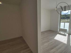 Pronájem bytu 2+kk, České Budějovice, Branišovská, 78 m2