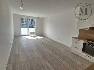 Pronájem bytu 2+kk, České Budějovice, Branišovská, 78 m2