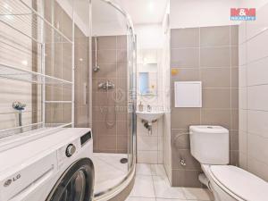 Prodej bytu 1+kk, Hradec Králové - Slezské Předměstí, Severní, 27 m2