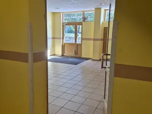 Prodej bytu 2+1, Ostrava, Ahepjukova, 68 m2