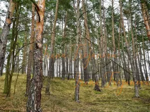 Prodej chaty, Svatý Jan, 45 m2